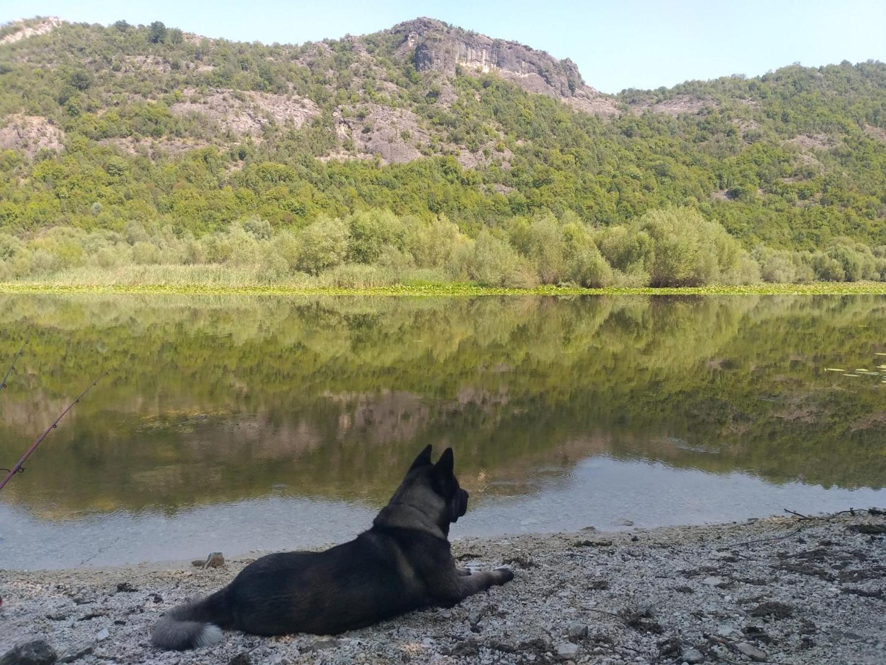 Rustic Village Rijeka Crnojevića Buitenkant foto